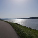 Entlang der Donau, Donauradweg, Österreich