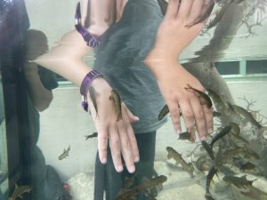 Fische streicheln im Wüstenhaus