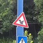 Dieses Verkehrszeichen gibt es nur in Bratislava