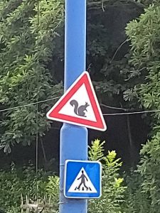 Dieses Verkehrszeichen gibt es nur in Bratislava