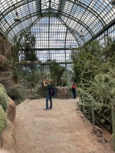 Fotos für den Blog schießen im Wüstenhaus