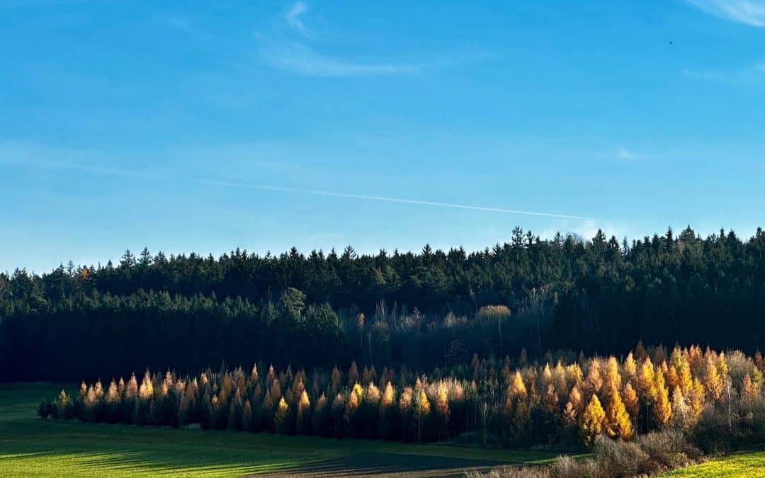 Krumpe — Pielach — Römer