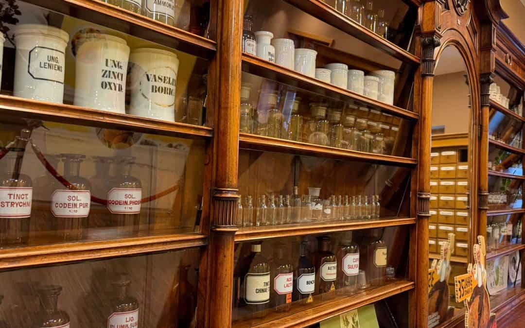 Besuch und Führung bei Sonnen­tor