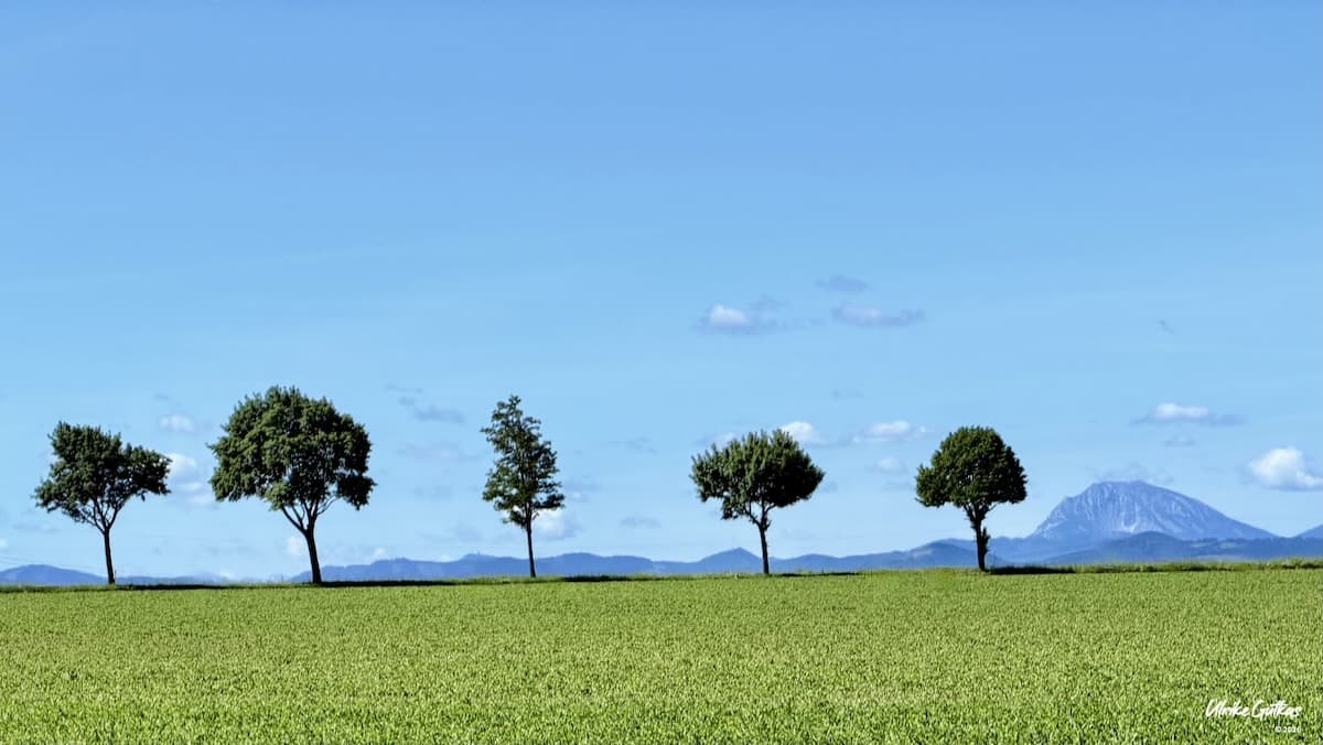 Park, Wald und Natur in St. Pölten